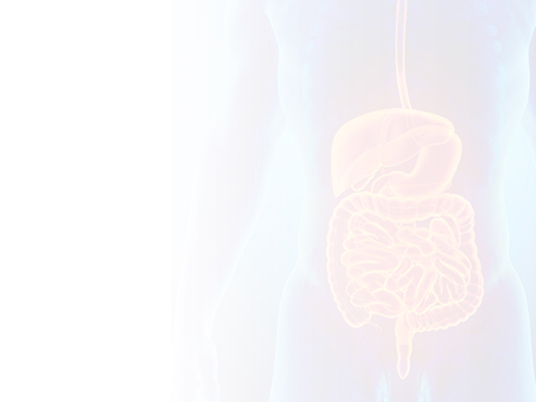 消化系統(tǒng)系列