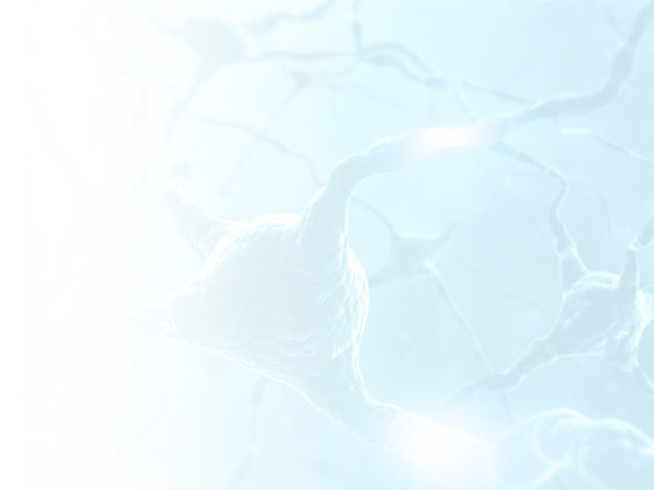 神經(jīng)系統(tǒng)系列